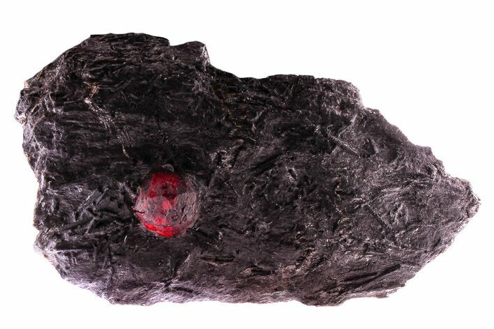 Red Embers Garnet in Graphite - Massachusetts #375798